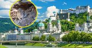 Plaga w austriackim mieście. Spór o szczury i gołębie trwa