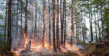 Syberyjskie miasto odnotowało temperaturę 38 stopni C. To rekord Arktyki