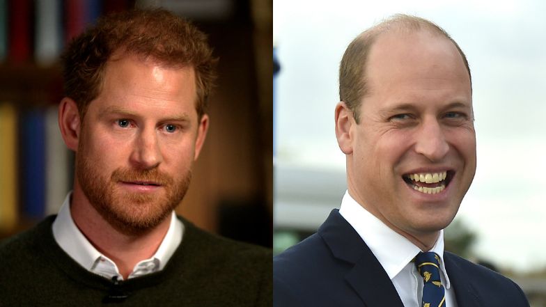 Książę Harry wyznaje: "Urodziłem się po to, by pomóc Williamowi"