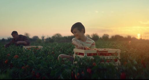 Value Media zajmie się długofalową obsługą firmy Dawtona (wideo)