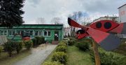 Sosnowiec. W przedszkolach deszczówka zadba o zieleń