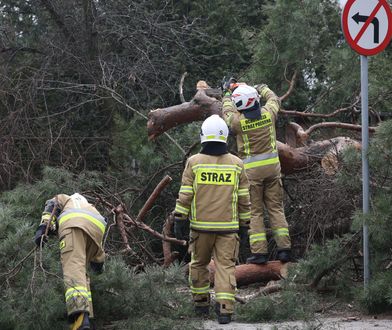 Pogoda nie odpuszcza. Do Polski nadciąga niż Bibi. Groźniejszy niż Antonia