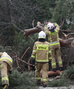 Pogoda nie odpuszcza. Do Polski nadciąga niż Bibi. Groźniejszy niż Antonia