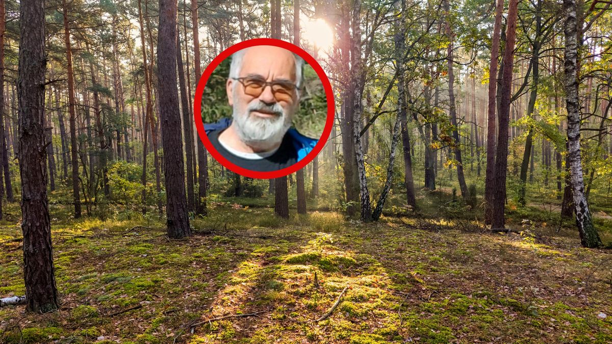 Jak wygląda sytuacja z grzybami w polskich lasach?