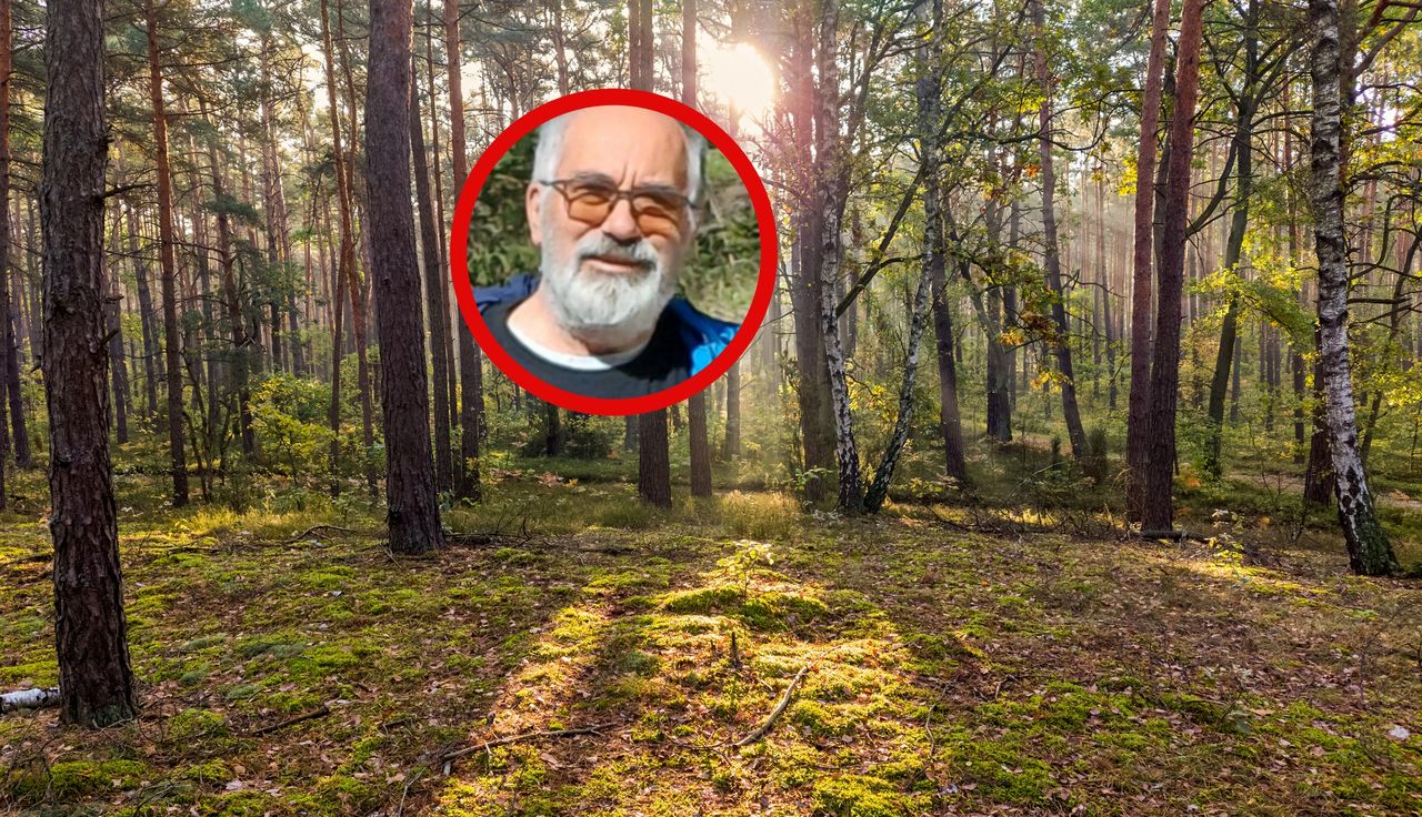 "Wręcz masowo". Wysyp w polskich lasach. Ekspert ogłasza