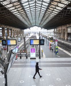 Paraliż na dworcu Gare du Nord w Paryżu. Znaleziono niewybuch