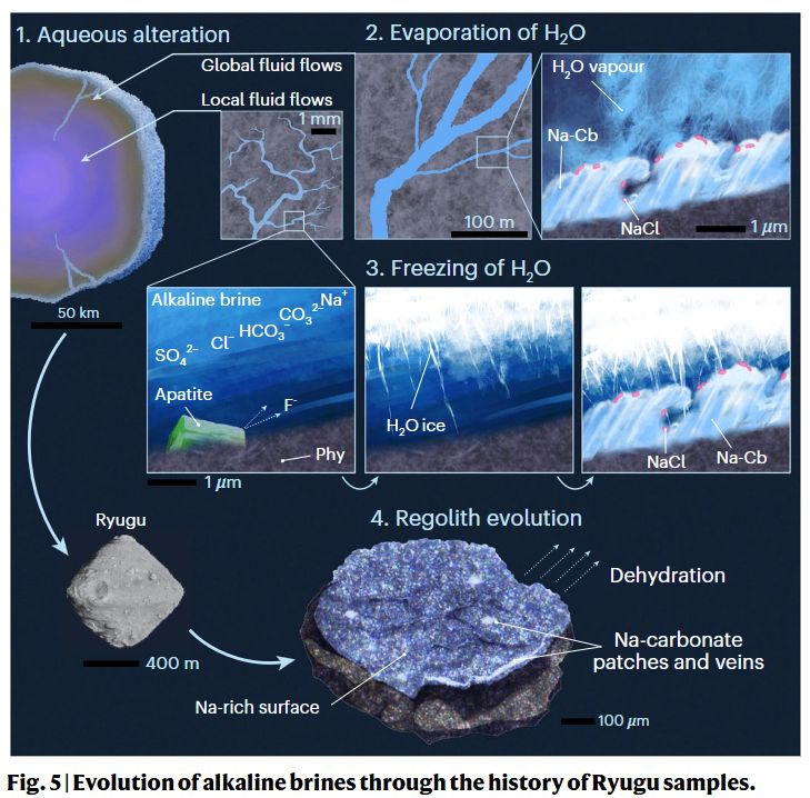 Ewolucja alkalicznych solanek w historii próbek Ryugu (Nature)