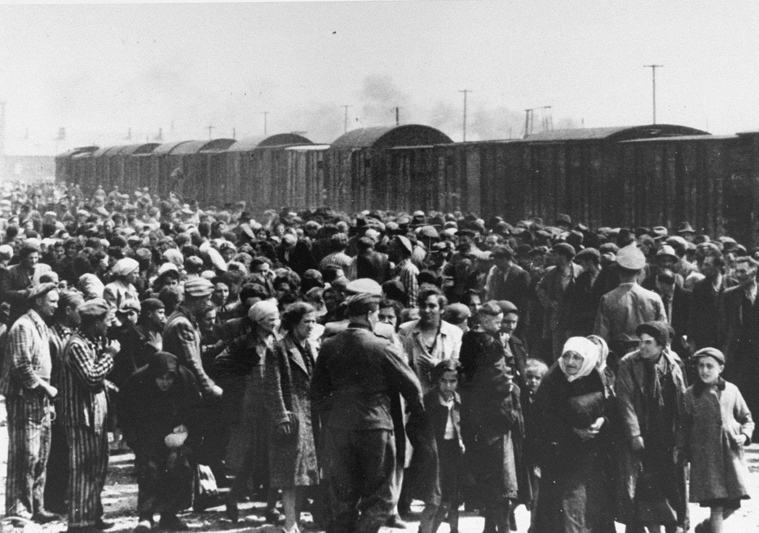 Selekcja transportu węgierskich Żydów w Auschwitz-Birkenau