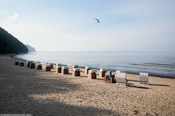 Dwie osoby zmarły z powodu zakażenia przecinkowcami w Niemczech