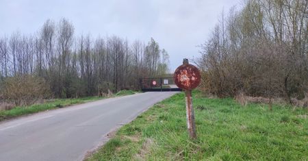 Tu na razie jest lotnisko, ale będzie nowy "Woodstock". Okoliczni mieszkańcy już liczą na zarobek