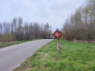 Tu na razie jest lotnisko, ale będzie nowy "Woodstock". Okoliczni mieszkańcy już liczą na zarobek