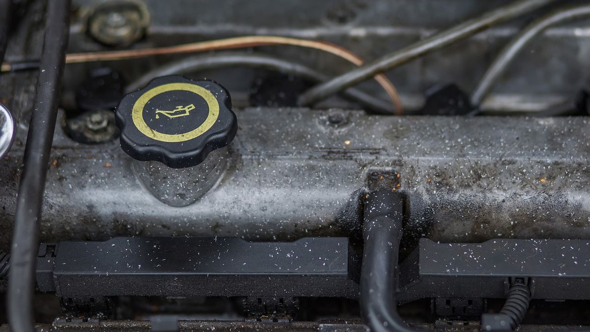 Pod korkiem oleju czytelnik zauważył "masło"