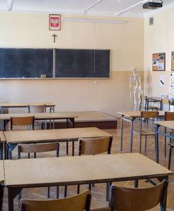 60 tys. plików z dziecięcą pornografią. Nauczycielowi grozi długie więzienie