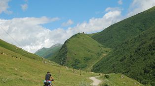 Biofobia narasta. Coraz więcej osób odczuwa lęk i niechęć wobec przyrody