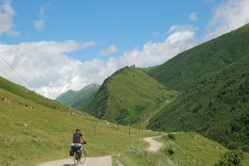 Biofobia narasta. Coraz więcej osób odczuwa lęk i niechęć wobec przyrody