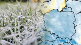 Zrobi się naprawdę zimno. Nadciągają pierwsze przymrozki