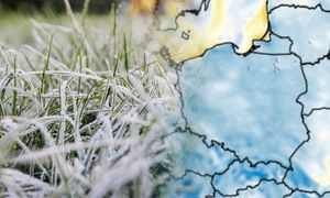 Zrobi się naprawdę zimno. Nadciągają pierwsze przymrozki