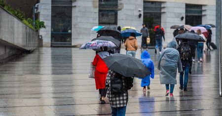 Ukraińcy podali, ile chcą zarabiać w Polsce. Przebili innych cudzoziemców