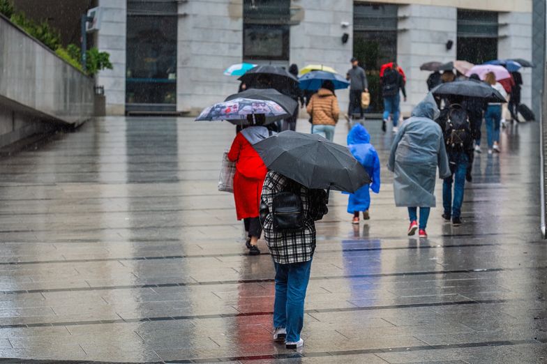 Ukraińcy podali, ile chcą zarabiać w Polsce. Przebili innych cudzoziemców