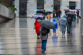 Ukraińcy podali, ile chcą zarabiać w Polsce. Przebili innych cudzoziemców