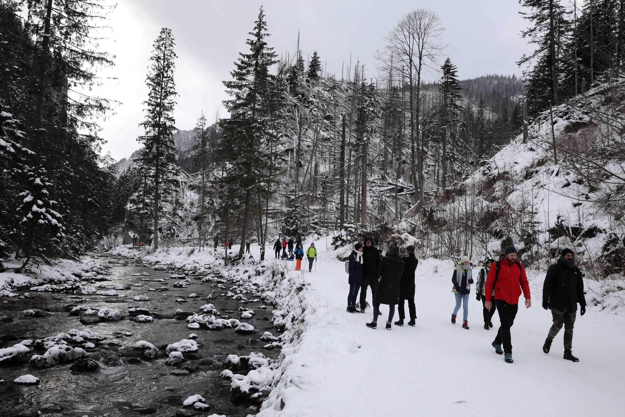 Dolina Kościeliska pod śniegiem (woj. małopolskie)