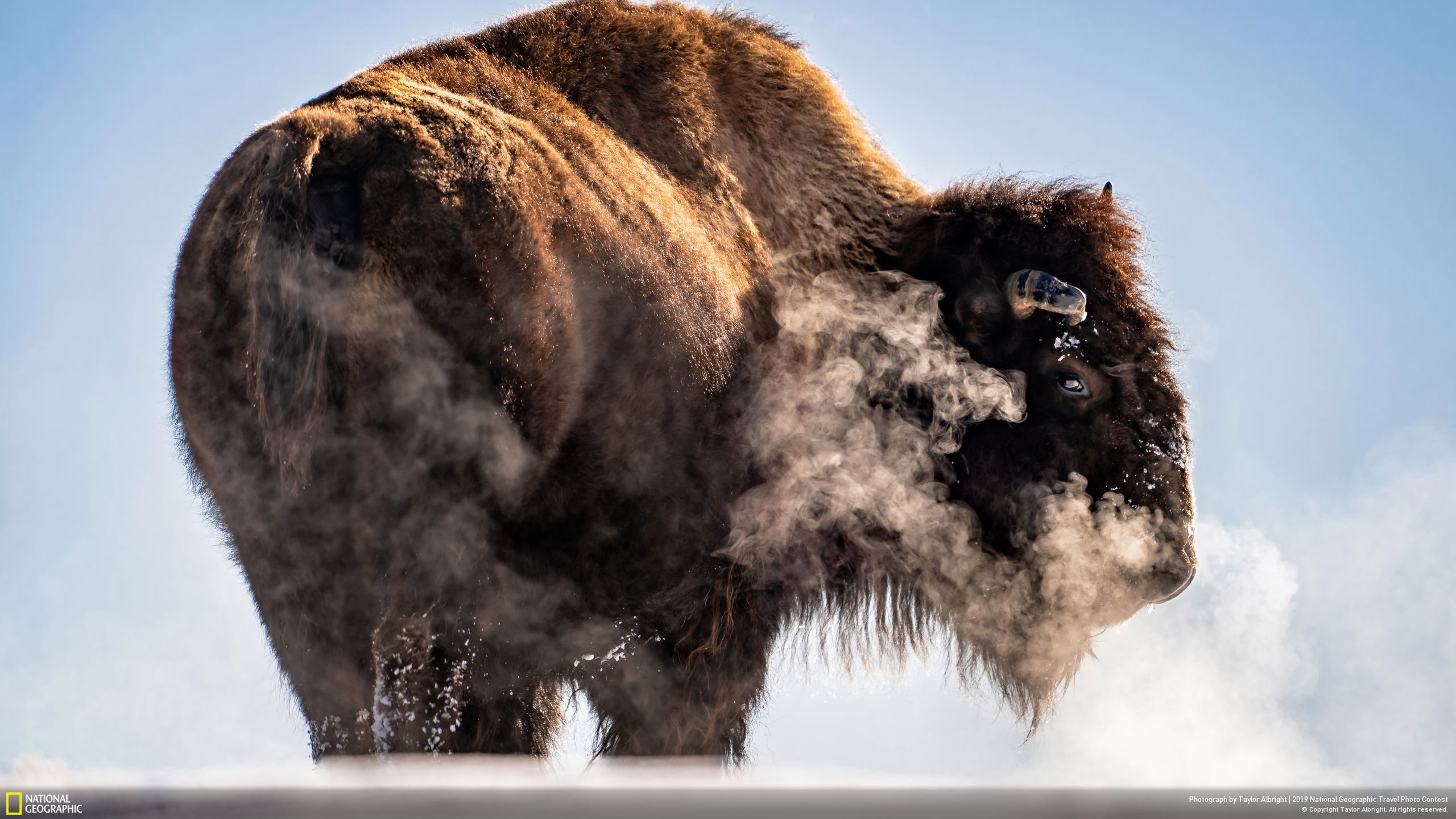 Niesamowite zdjęcia finalistów National Geographic Travel Contest 2019 5