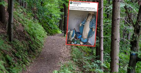 Ktoś zniszczył figurę Matki Boskiej. Leśnicy pokazali zdjęcie