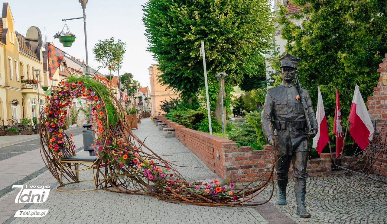 Festiwal Kwiatów w Czarnkowie, florysta, kwiaty, Czarnków
