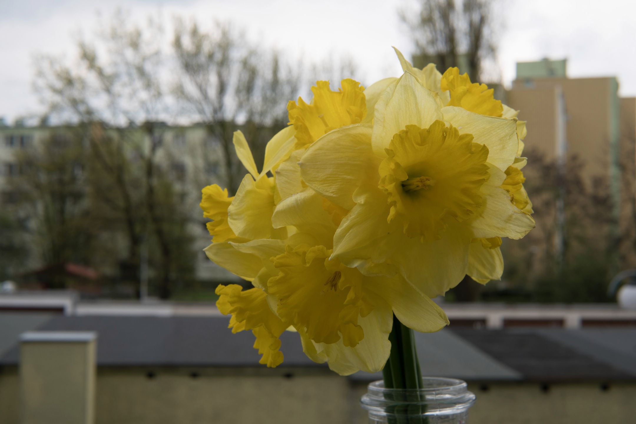 Sigma 30 mm f/1.4 DC DN - recenzja jasnego obiektywu stworzonego z myślą o bezlusterkowcach 29