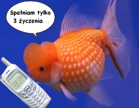 Komórkowe życzenia do złotej rybki