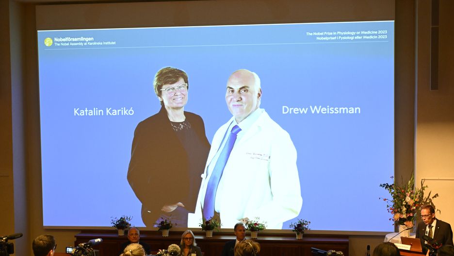 Katalin Kariko i Drew Weissmana otrzymali Nagrodę Nobla