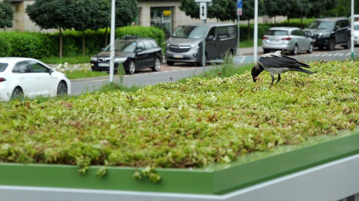 Warszawa: Kolejne przystanki będą miały ogrody na dachach