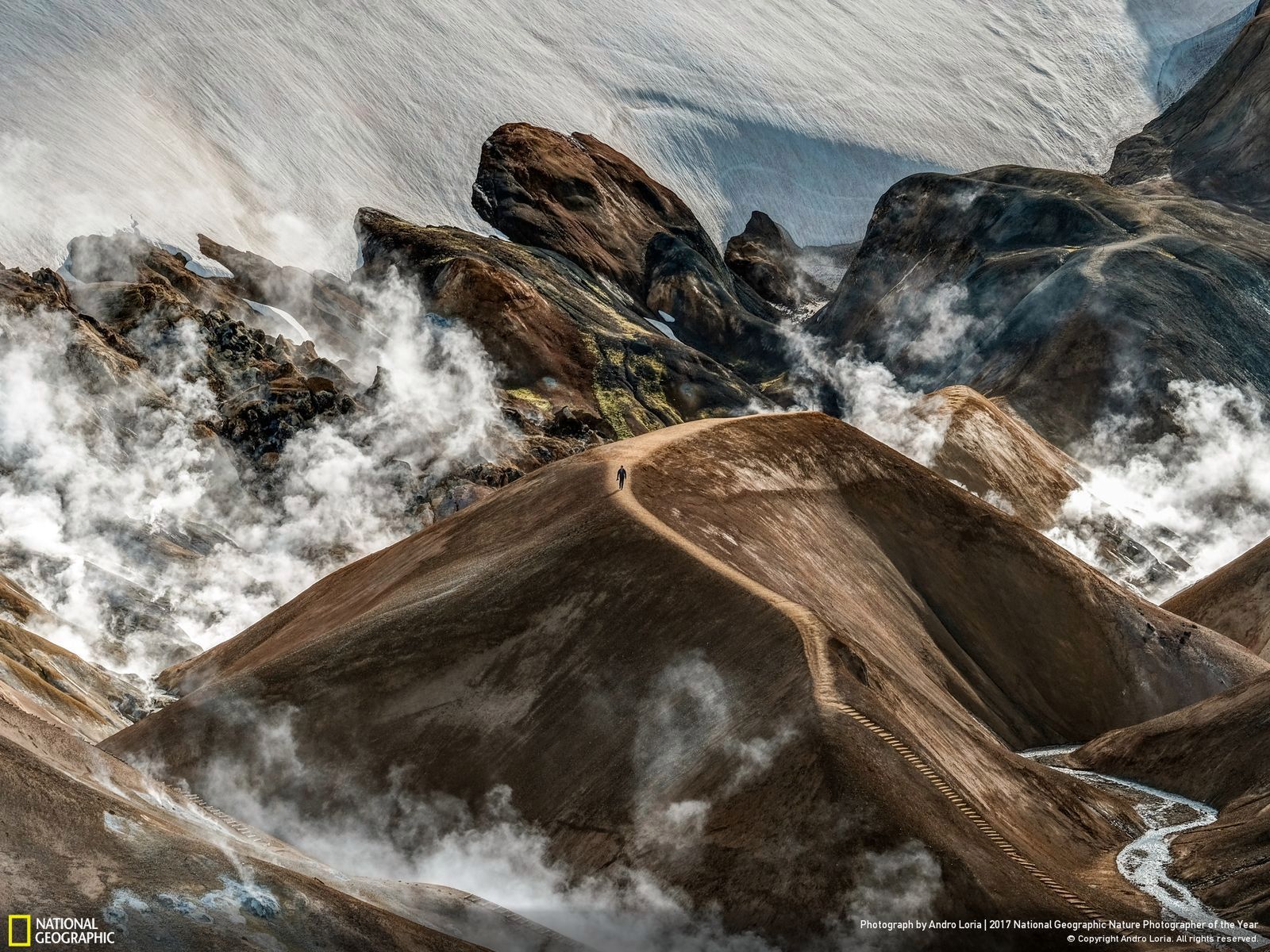 Poznaj najnowsze zgłoszone zdjęcia w konkursie Nat Geo Nature Photographer of the Year 2017 9