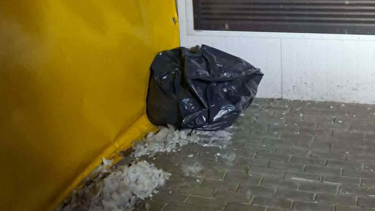 Zgłosiła, że widzi niedźwiadka.