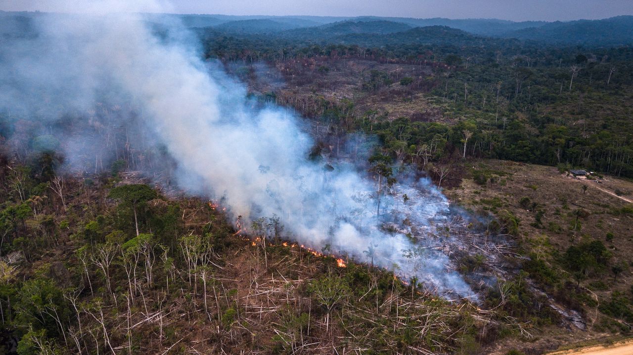 Naukowcy ostrzegają: Amazonia może przyczynić się do kryzysu klimatycznego