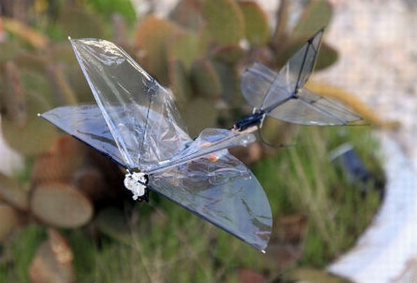 IAI Butterfly – roboinsekt z Izraela [wideo] 2