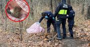 Torba leżała w lesie. Strażnicy miejscy odkryli prawdę