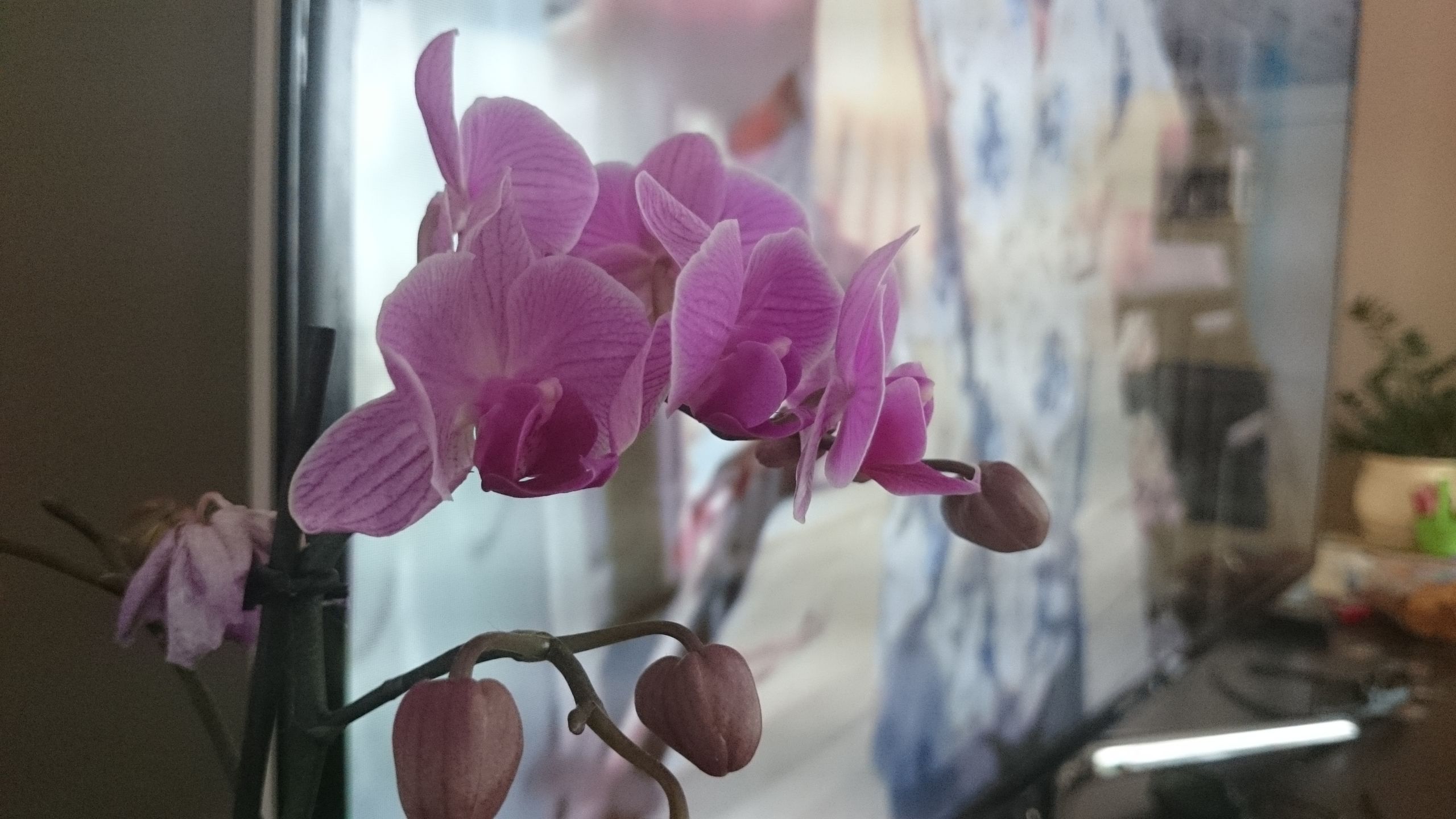 Sony Xperia Z2 w naszych rękach. Pierwsze wrażenia 14