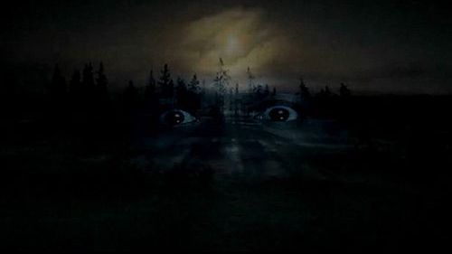 Zagubiona owca - ale o co chodzi? [zwiastun] 1