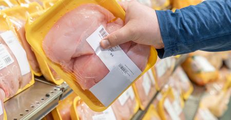 Widzisz na piersi z kurczaka? W sklepie omijaj szerokim łukiem