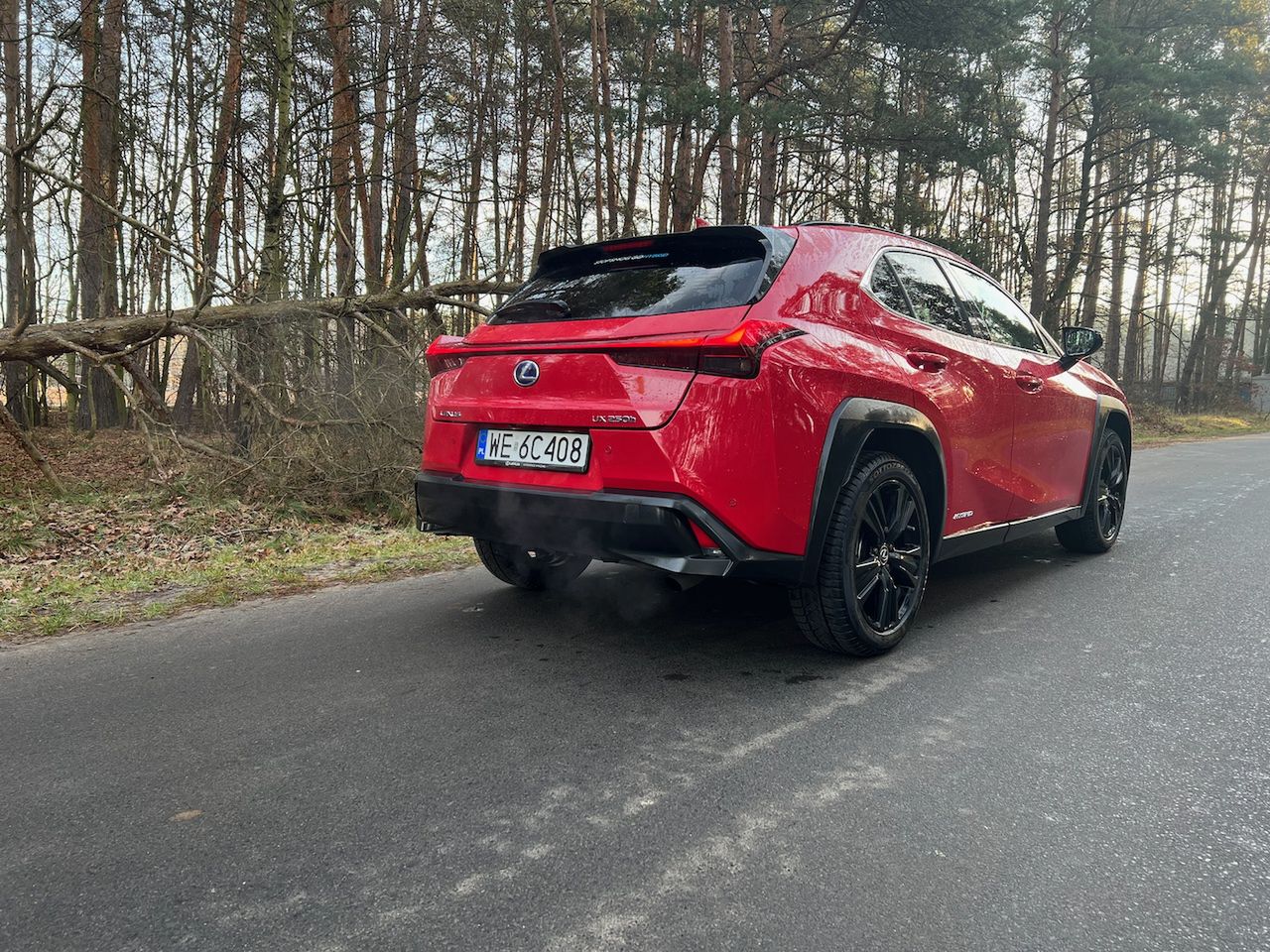 Lexus UX 250 h