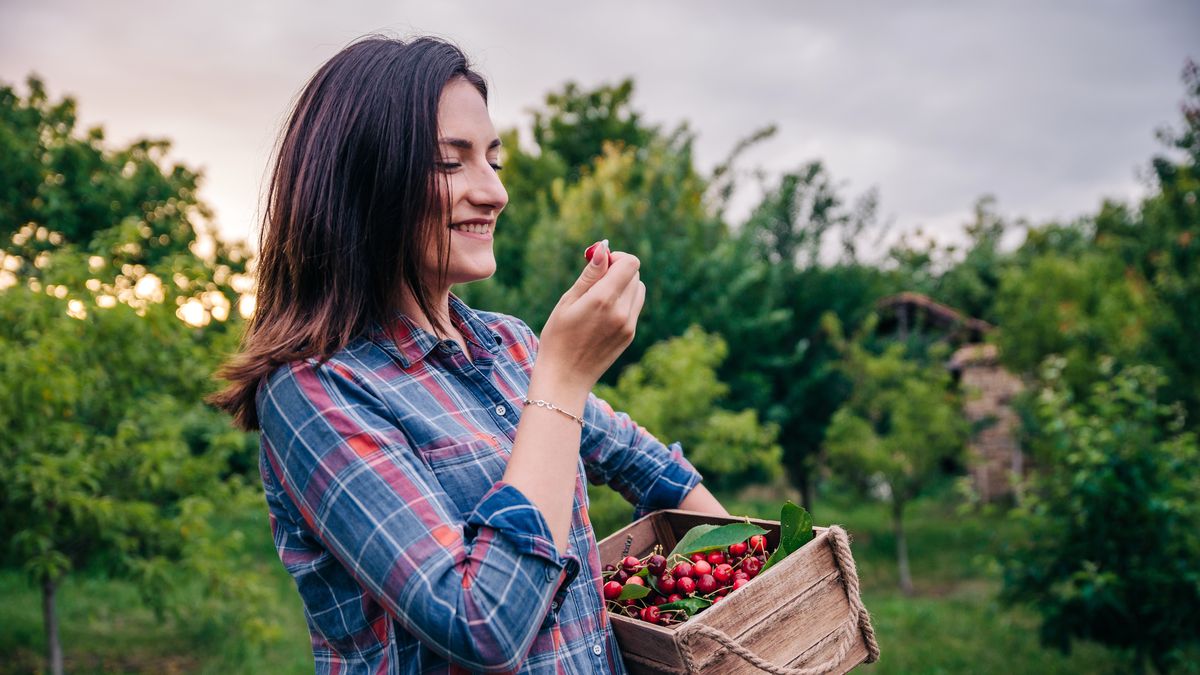 Zakazane połączenie. Z czym nie jeść czereśni?