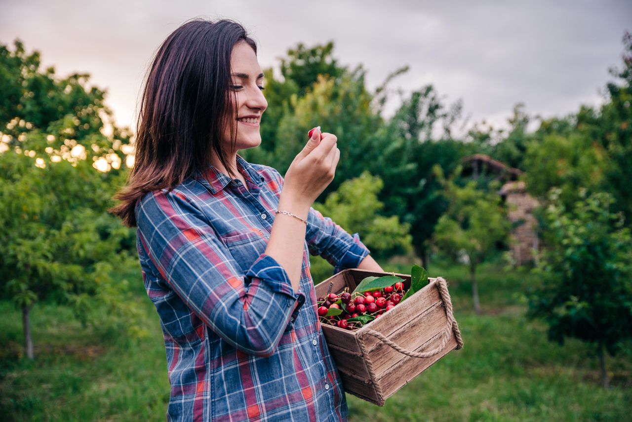 Digestive issues? Consuming cherries and water together may cause them