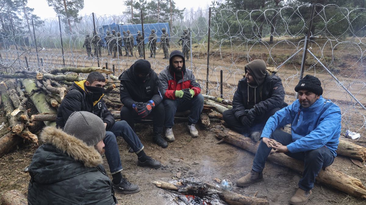 Migranci zaatakowani pod Hajnówką 