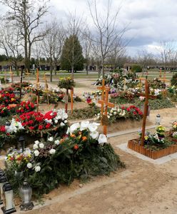 Ofiar COVID-19 w Polsce jest znacznie więcej? Niepokojąca analiza amerykańskich naukowców