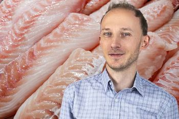 Dietetyk wskazał 5 najzdrowszych ryb. Nie są naszpikowane toksynami jak inne