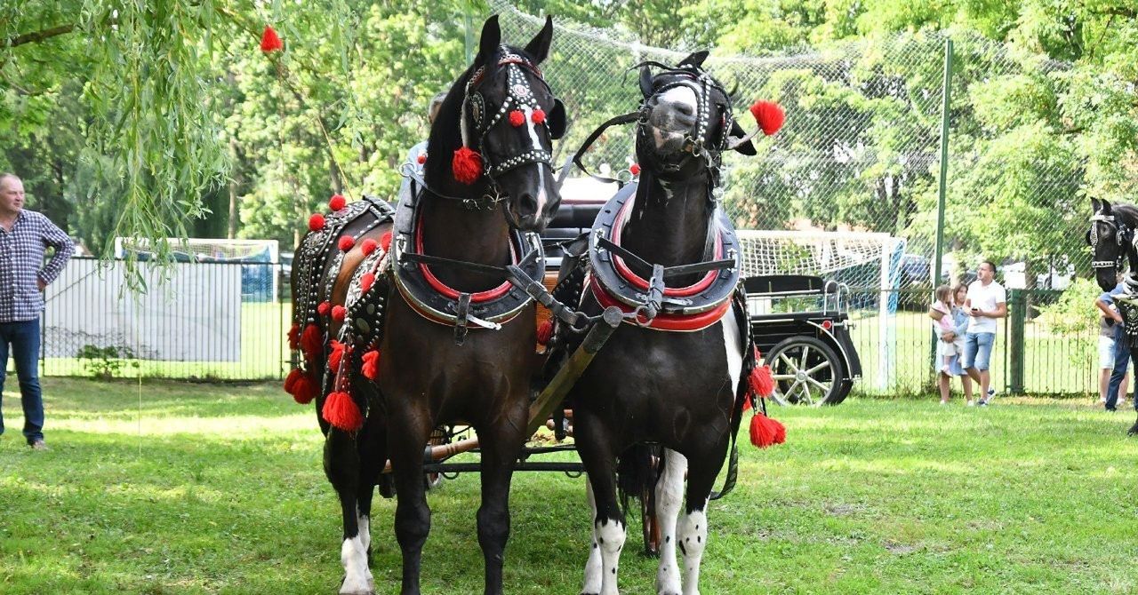 Wrocieryż: Zaprzęgowy Hubertus. Będzie muzyka i zawody zaprzęgów