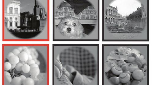 Naukowcy są coraz bliżej zobrazowania ludzkich myśli 1