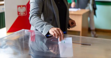Ogromna rozbieżność między PiS a KO. Statystyki nie kłamią