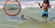 Atak rekina w Izraelu. Wiadomo, kim była ofiara